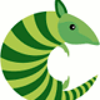 Armadillo C++ Cmake Project Template