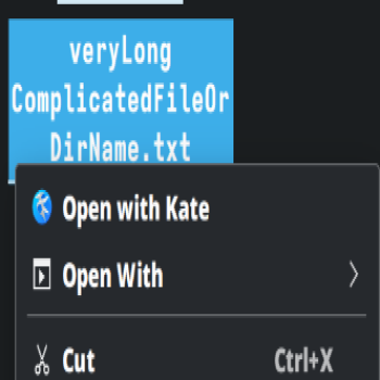 Copy File Name