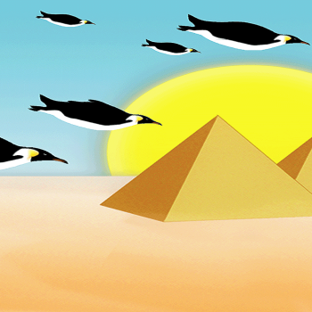Flying Penguins