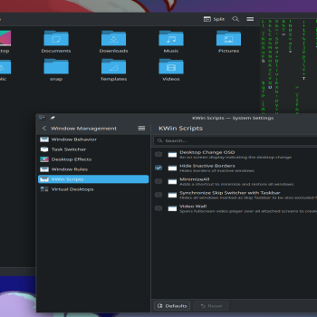 Hide Inactive Borders