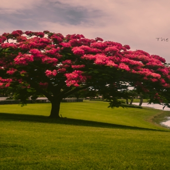 4K Inspirational Wallpaper