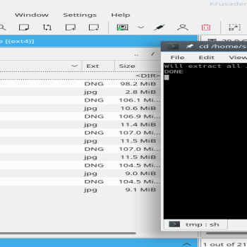 Extract JPGs from DNGs in selected folder