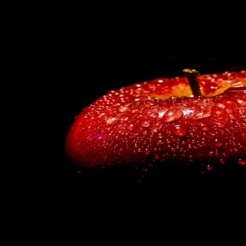 Fresh apple
