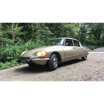 Citroen DS at Daylight
