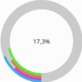 Concentric Circles