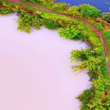 Beach and Country Road 4K Wallpaper
