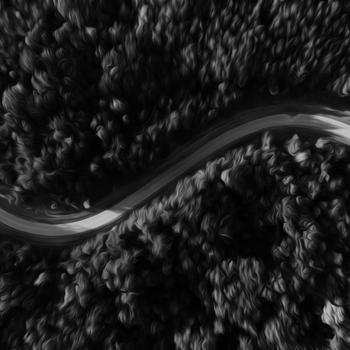 Road Between Forest B and W 4K Wallpaper