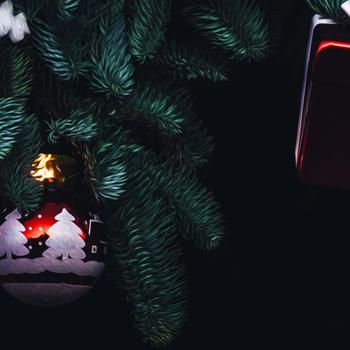 Ornaments Hanged on Tree [KDE Version] 4K Wallpaper