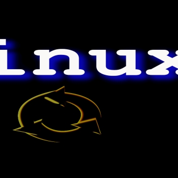 Black Linux Neon Wallpaper