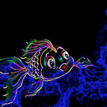 KDE a fish Wallpapers