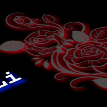 Rosette Beautiful Wallpaper Black