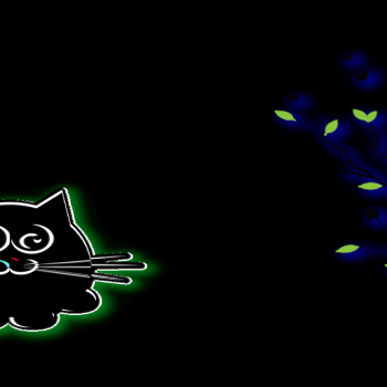 Funny cat