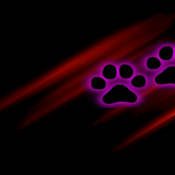 Kitty Plasma Wallpaper2