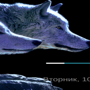 6_Wolf_Splash