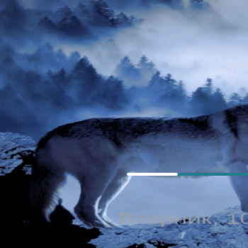 7_Wolf_Splash