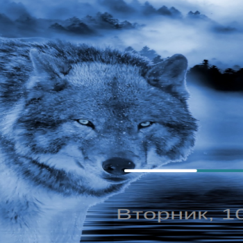 9_Wolf_Splash