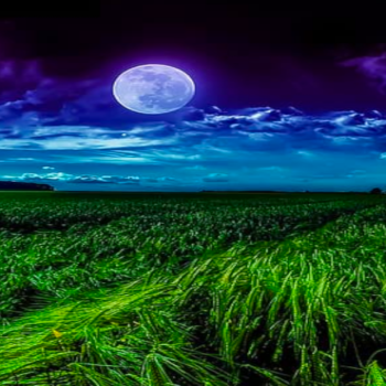 Lunar Dawn-Linux-Wallpaper-83
