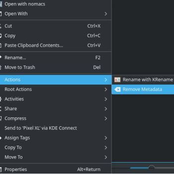 Remove Metadata