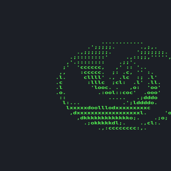 Deepin neofetch ASCII wallpaper.