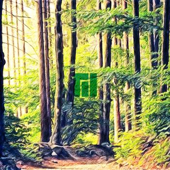 Forest my home