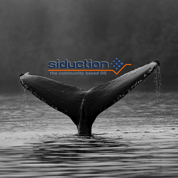 Whale siduction