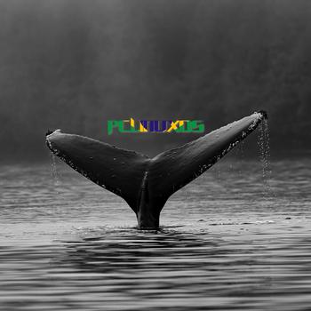 PCLinuxOS BR Whale
