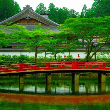 bridges