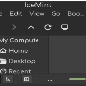 IceMint