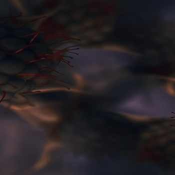 KDE Macro 4K Backgrounds