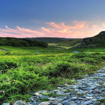Windows 10 Nature Landscape Wallpaper hd