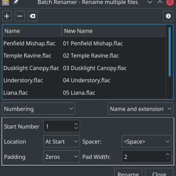 Bionic Batch Renamer