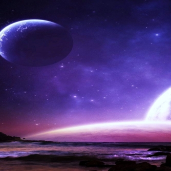 Silhouette of Palm Tree Under Starry Night Full HD