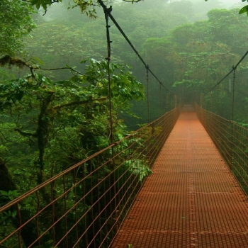 bridge