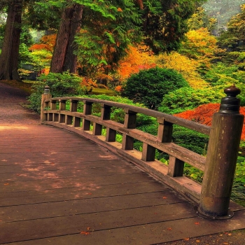 bridge