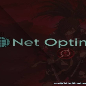 GS NET OPTIMIZER