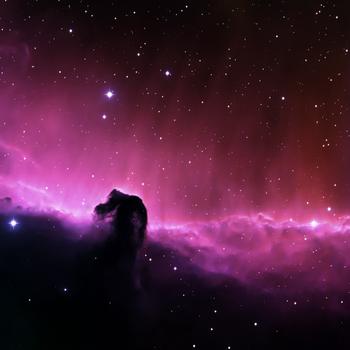 Stars Nebula Horse Head