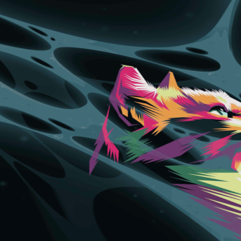 Cat Colourful Splash