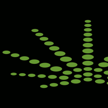 Leaf Loading Plasma 6