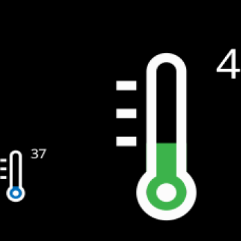 SimpleMonitorThermometer