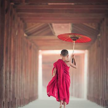 Boy Walking Between Wooden Frame While Holding Umbrella