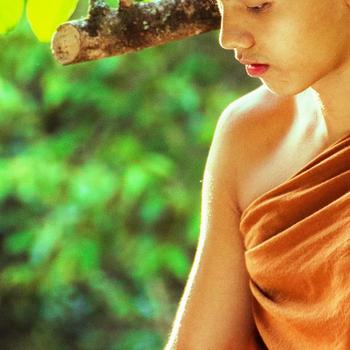 Monk Sitting Beside Tree While Reading Book