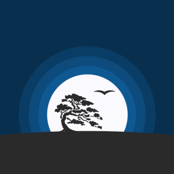 Salix Wallpapers 2022