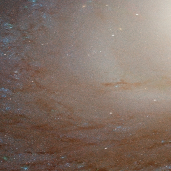 opo1438b - Spiral Galaxy - Messier81