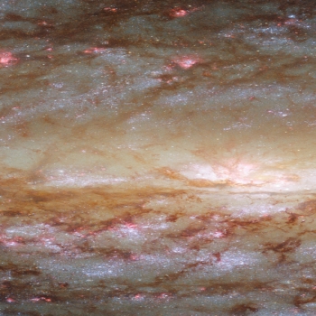 potw2143a - part of Leo - NGC2903