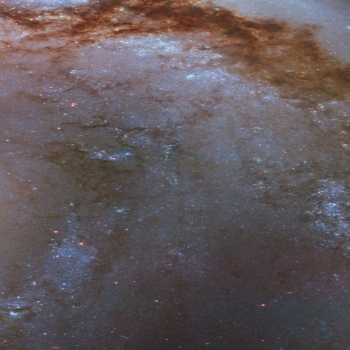 potw2033a - Cosmic Fireworks - NGC2442 SN2015F