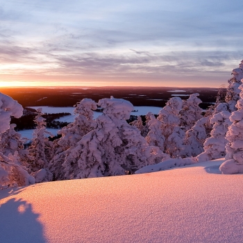 Finnish Lapland Snow Desktop Wallpaper