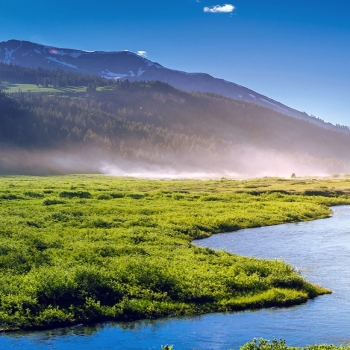 Colorado summer jungle hills river fog