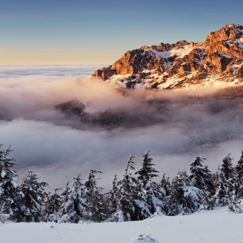 Slovakia snow mountains fog pines 4K HD Deskto..