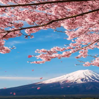 Japan's Majestic Peaks Live Wallpaper