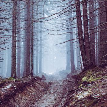Misty road